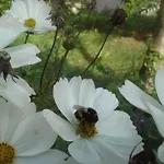 Gutshaus Buberow - Haupthaus - Fuer Seminare & Gruppen Feriehus *