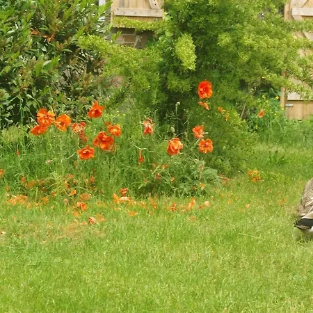 Gutshaus Buberow - Haupthaus - Fuer Seminare & Gruppen Gransee