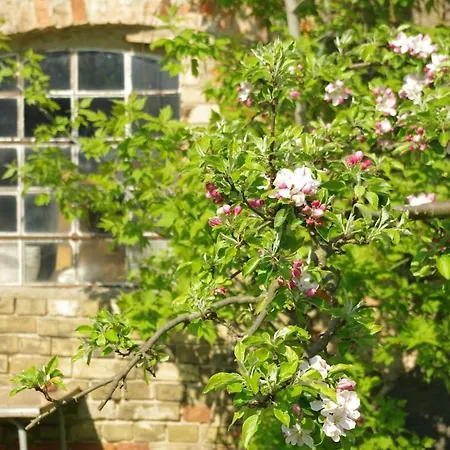 Gutshaus Buberow - Haupthaus - Fuer Seminare & Gruppen Gransee