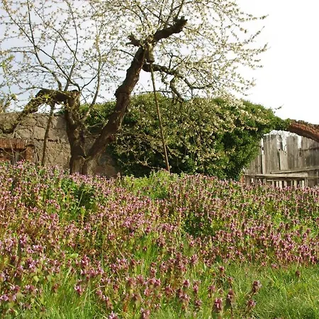 Gutshaus Buberow - Haupthaus - Fuer Seminare & Gruppen * Gransee