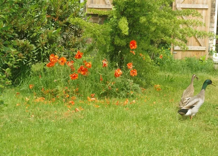 Gutshaus Buberow - Haupthaus - Fuer Seminare & Gruppen Gransee