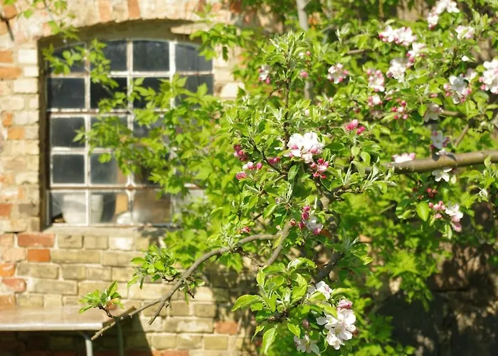 Gutshaus Buberow - Haupthaus - Fuer Seminare & Gruppen Gransee