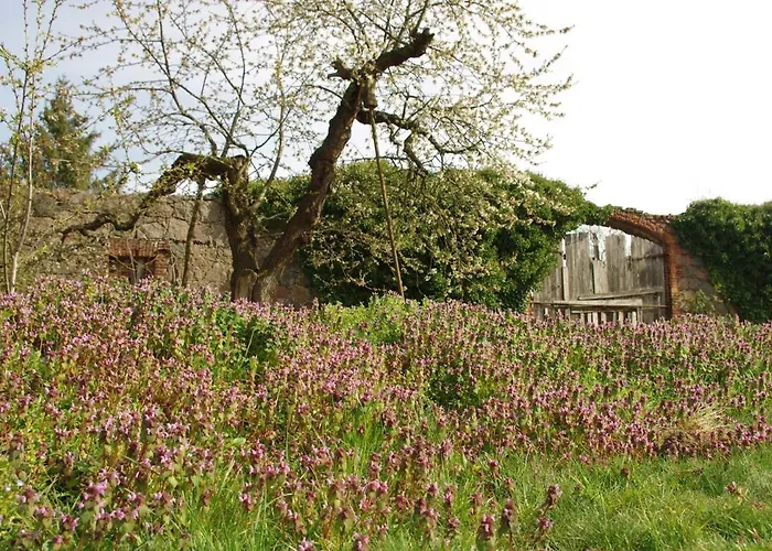 Gutshaus Buberow - Haupthaus - Fuer Seminare & Gruppen * Gransee