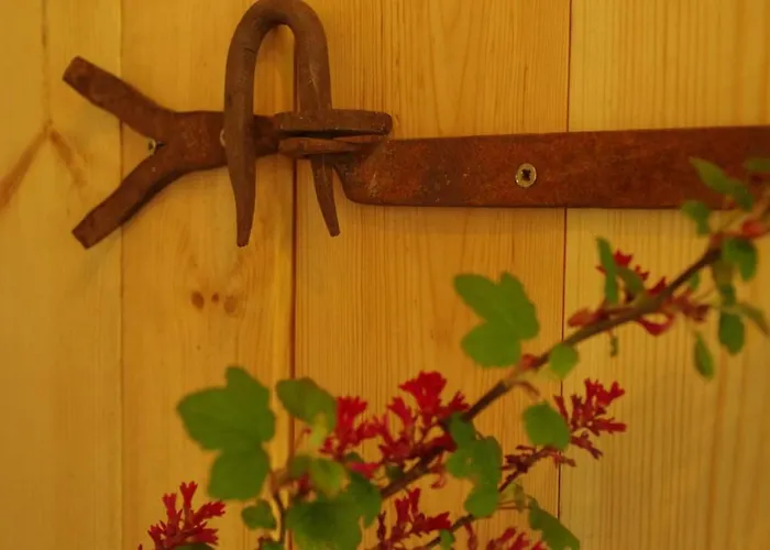 Gutshaus Buberow - Haupthaus - Fuer Seminare & Gruppen * Gransee